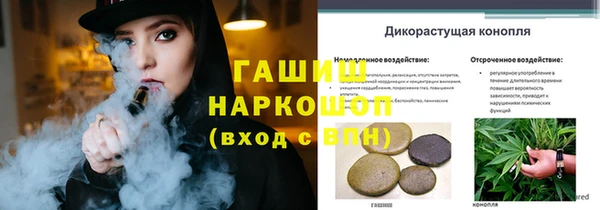 спайс Вяземский