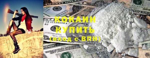 PSILOCYBIN Вязники