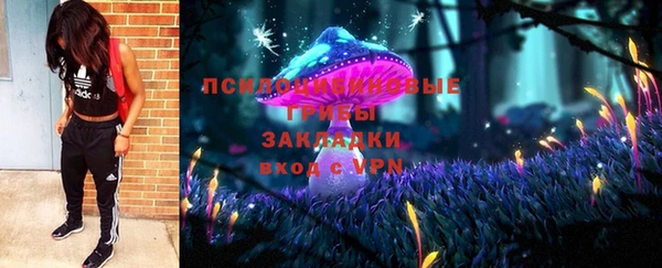 спайс Вяземский
