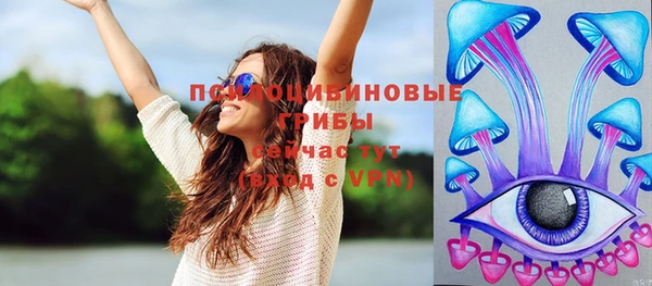 PSILOCYBIN Вязники