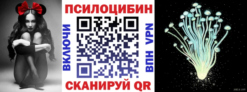Псилоцибиновые грибы Cubensis  хочу наркоту  Грязовец 